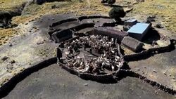 CLEAN : Bolivian llama herders celebrate Andean and Amazonian New Year News Clip