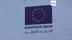 EU halts financial support to Palestinians, but humanitarian aid will continue 'as long as needed' News Clip