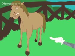 How to Buy a Pony Instructional Video