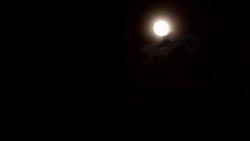 Full bright moon and cloudy background for halloween. Stock Footage