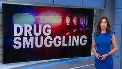Kingston man sentenced to up to 7.5 years for drug smuggling News Clip