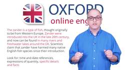 IELTS Reading Exam - Answer Matching Headings Questions Instructional Video