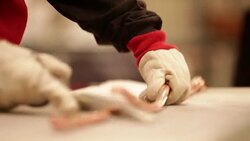 Making Candy Canes Stock Footage