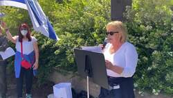 Israel supporters rally outside Israeli embassy in Dublin News Clip