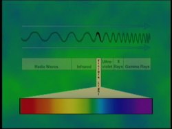 Photosynthesis: Video Assessment Instructional Video