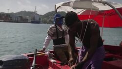 Fishermen on board small boat in harbour in Grenada News Clip
