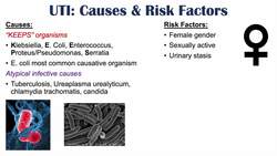 Urinary Tract Infections (UTI) Overview | Causes, Risk Factors, Symptoms, Diagnosis, Treatment Instructional Video