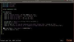 C++ Standard Template Library in Practice - Console I/O - Interact with a User Instructional Video