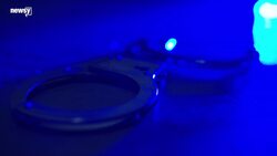 House Passes Bill That Makes Animal Cruelty A Federal Felony News Clip