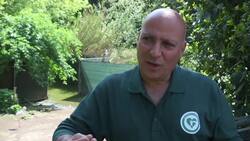 Baby flamingos hatch at Rome Zoo Instructional Video