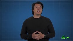 Those Pretty Road Medians May Be Bad for Bugs Instructional Video