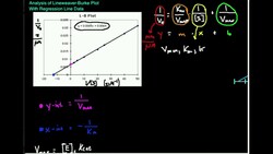 Lineweaver-Burke Plot Example with y=mx+b Instructional Video