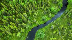 Human Impacts: How Do People Disrupt Ecosystems? Instructional Video