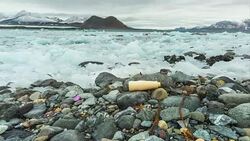 Plastic pollution on Arctic coast. Stock Footage