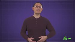 Why Does Rain Smell so Good... to Bugs? Instructional Video