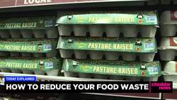 Today Explained: How to Cut Down on Food Waste News Clip