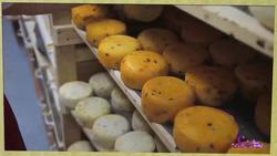 Explore the Fort! | SciShow Kids Compilation Instructional Video