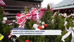 Made in New Jersey: Anne Ellen Christmas Tree Farm offers magical holiday experience News Clip