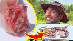 BITTEN by 3 TOXIC Worms! (Which is Worst?) Instructional Video