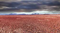 I WONDER - What Type Of Habitat Is A Desert? Me Pregunto - Qué Tipo Hábitat Es Un Desierto? Instructional Video