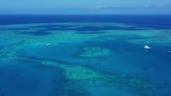 The Great Barrier Reef: Drones Uncover the Coral Kingdom Stock Footage