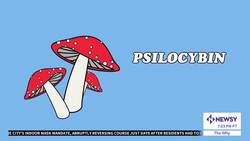 More Doctors Are Embracing Psychedelics News Clip