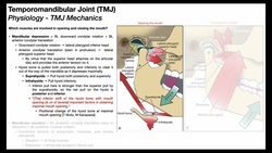 Temporomandibular Joint 😲 | Biomechanics Part 2/2 Instructional Video