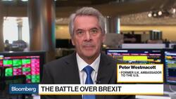 Ex-Amb. Westmacott Sees Four Brexit Options, 'None Satisfactory' News Clip