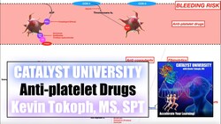 Anti-platelet Medications + Mechanisms of Action Instructional Video