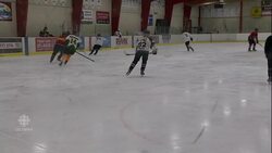 Flames under fire as hockey tackles racism, abuse News Clip