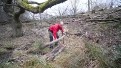 National Trust flood prevention work News Clip