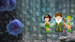 The Amazing Immune System Instructional Video