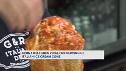 Morris Park deli goes viral for 'Italian ice cream cone' News Clip