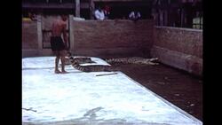 Crocodile farm, Bangkok, 1979 Stock Footage