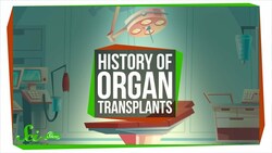 The Messy Path to the First Successful Organ Transplants Instructional Video