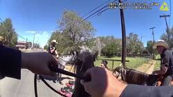 Suspect takes off running after being told police horse can smell drugs Instructional Video