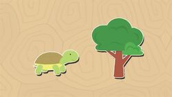 I WONDER - How Can You Calculate A Tortoise's Age? Instructional Video