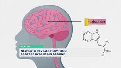 How are sweets, carbs and red meat affecting your brain? News Clip