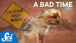 Life on an 8-Hour Planet Instructional Video