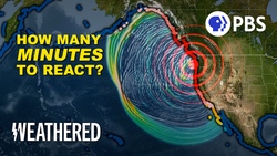 What's the One Thing You Can Do To Survive a Tsunami? Instructional Video