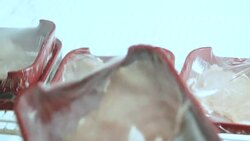 Yakiniku refrigerator in the kitchen Stock Footage