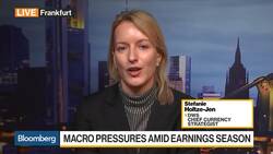 DWS's Holtze-Jen Calling for a Strong Dollar News Clip