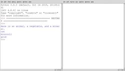 Python 3 for Beginners: User Input and Output (Repeating User Input) Instructional Video