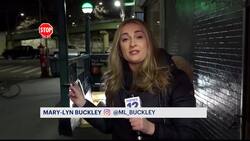 Fort Hamilton Parkway subway station receives much-needed makeovers News Clip