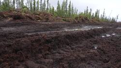 Fort McMurray firefighters remain on alert, even as firebreak fills with mud News Clip