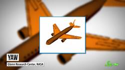 Why Don't Birds Have Vertical Tails Like Airplanes? Instructional Video