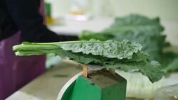 CLEAN : Frustrated foodies gobble up South Korean grocery unicorn News Clip