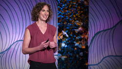 TED: The hidden forces behind your food choices | Sarah Lake Instructional Video