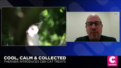 CBD-Infused Treats by Therabis Aim to Calm Your Stressed-Out Cat News Clip