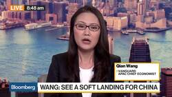 Vanguard's Wang Expects More Monetary and Fiscal Stimulus From China News Clip